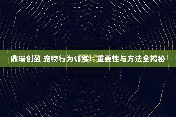 鼎瑞创盈 宠物行为训练：重要性与方法全揭秘
