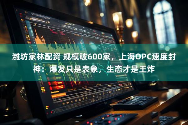 潍坊家林配资 规模破600家，上海OPC速度封神：爆发只是表象，生态才是王炸